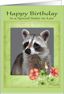 Birthday to Sister-in-Law, beautiful raccoon portrait with flowers card