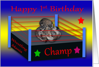1st Birthday, Three adorable raccoons wrestling in a ring with stars card