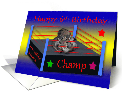 6th Birthday, Three adorable raccoons wrestling in a ring... (868879)