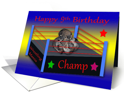 9th Birthday with Three Raccoons Wrestling in a Ring and Stars card