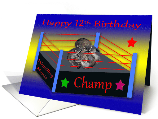 12th Birthday, Three adorable raccoons wrestling in a ring, champ card