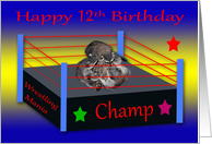 12th Birthday, Three adorable raccoons wrestling in a ring, champ card