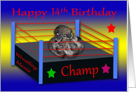 14th Birthday, Three raccoons wrestling in a ring with colorful stars card