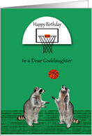 Birthday to Goddaughter, cute raccoons playing basketball with hoop card