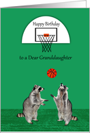 Birthday to Granddaughter with Adorable Raccoons Playing Basketball card