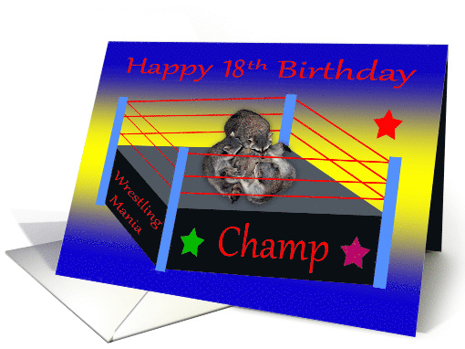 18th Birthday, three adorable raccoons wrestling in a ring... (871625)