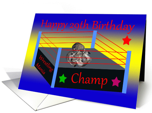 29th Birthday, three raccoons wrestling in ring, stars on... (872199)