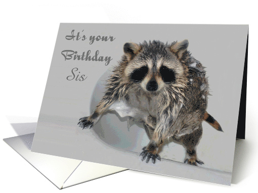 Custom Front Text Birthday, Cute, soapy Raccoon bathing in... (872556)
