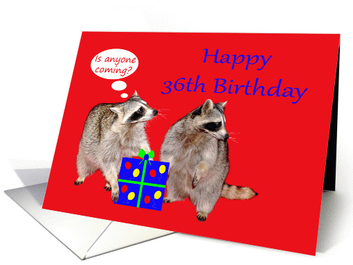 36th Birthday, raccoons stealing a present card (874510)