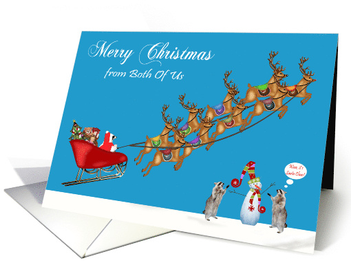 Christmas from Both Of Us with a Raccoon Santa Claus... (876358)