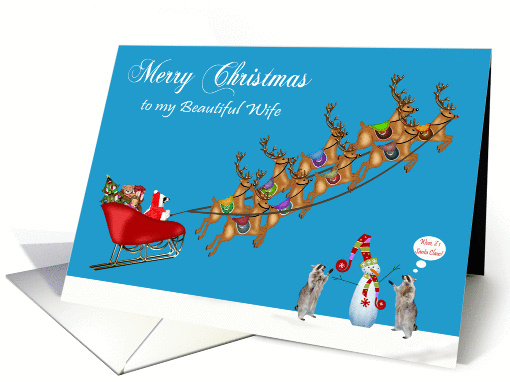 Christmas to Wife, Raccoons with sleigh, reindeer, snowman... (876381)