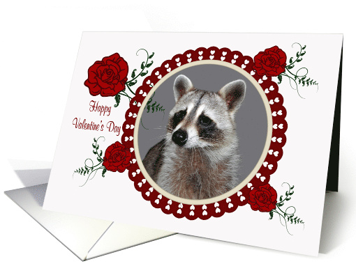 Valentine's Day, general, Raccoon in a heart frame with... (879976)