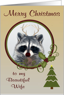 Christmas to Wife a Red Nosed Raccoon with Antlers in a Frame card