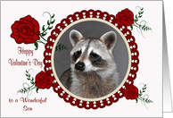 Valentine’s Day to Son, beautiful raccoon in a heart frame with roses card
