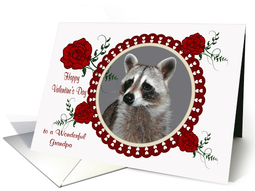 Valentine's Day to Grandpa a Raccoon in a Heart Frame with Roses card