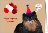 Birthday to Grandma, Pomeranian wearing a party hat with balloons card