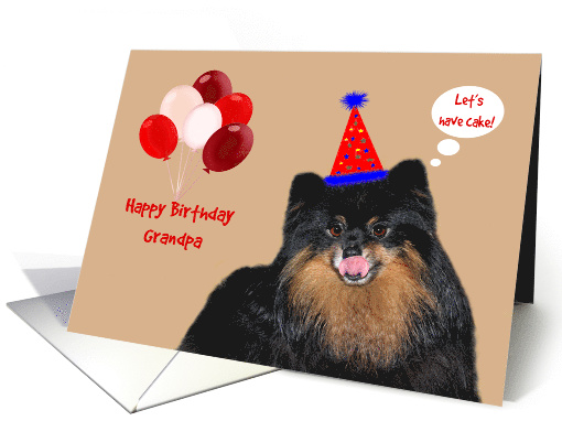 Birthday to Grandpa, Pomeranian wearing a party hat with balloons card
