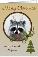 Christmas to Nephew, Raccoon with red-nose and antlers in a frame card