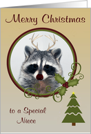 Christmas to Niece, Raccoon with a red-nose and antlers in a frame card