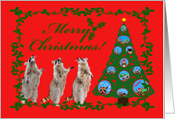 Christmas, general, Raccoons with a holly wreath frame and tree card