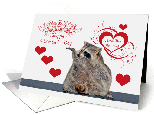 Valentine's Day, Raccoon with hearts card (893527)
