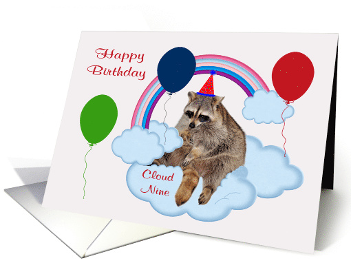 Birthday, general, adorable raccoon sitting on cloud nine,... (896881)