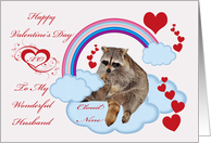 Happy Valentine’s Day to Husband with Raccoon Sitting on Cloud Nine card