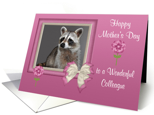 Mother's Day To Colleague, Raccoon in bow frame with... (896897)