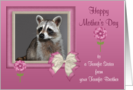 Mother’s Day To Sister From Brother, Raccoon in bow frame with flowers card