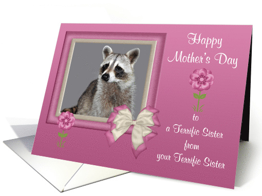 Mother's Day to Sister from Sister Raccoon in Bow Frame... (896912)