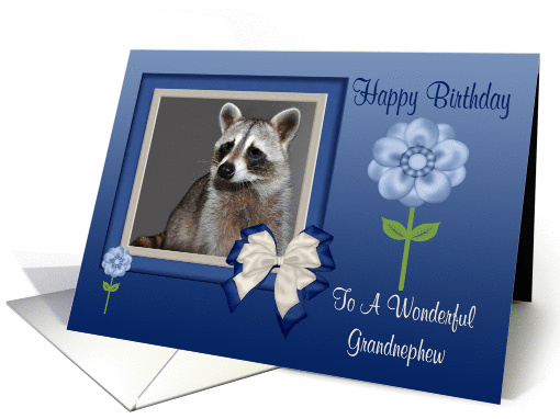 Birthday To Grandnephew, Raccoon in bow frame with flowers card