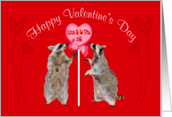 Valentine’s Day with Raccoons Looking at a Big Heart Lollipop card