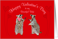 Valentine’s Day to Wife, Raccoons, I love you lollipop, red hearts card