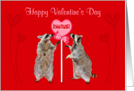 Valentine’s Day to Sweetheart, Raccoons with a lollipop, red hearts card