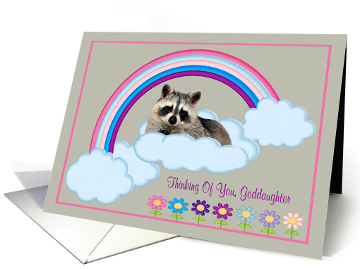 Thinking Of You Goddaughter, Raccoon on a rainbow, clouds,... (900077)