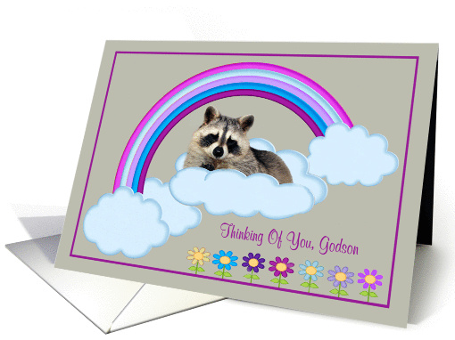 Thinking Of You Godson, Raccoon on a rainbow with clouds... (900082)