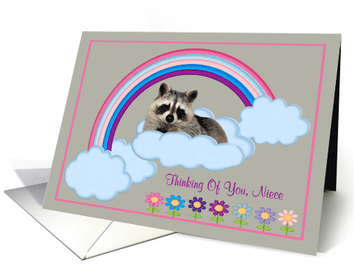Thinking Of You Niece with a Raccoon Laying on Clouds with... (900087)