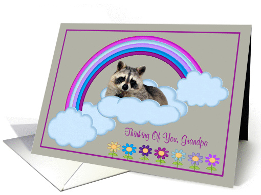Thinking Of You Grandpa, Raccoon on a rainbow with clouds... (900090)
