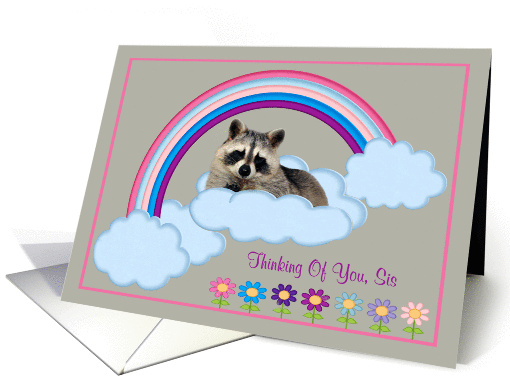 Thinking Of You Sister, Raccoon on a rainbow with clouds... (900091)