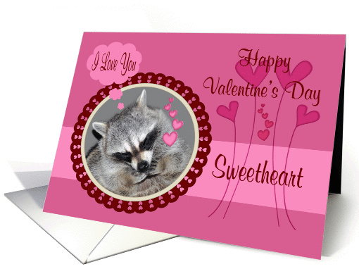 Valentine's Day To Sweetheart, Raccoon in heart frame card (900956)