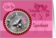 Valentine’s Day To Sweetheart, Raccoon in heart frame card