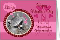 Valentine’s Day To Grandmother, Raccoon in heart frame card