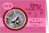 Valentine’s Day to Son with a Raccoon in a Frame Surrounded by Hearts card