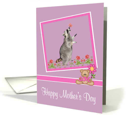 Mother's Day, general, Raccoon with a butterfly on his... (904248)