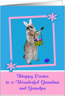 Easter to Grandma and Grandpa, Raccoon with bunny ears, pink frame card