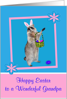 Easter to Grandpa, Raccoon with bunny ears, pink flower frame, blue card