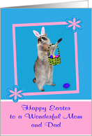 Easter to Mom and Dad, Raccoon with bunny ears, pink flower frame card