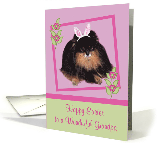 Easter to Grandpa, Pomeranian with bunny ears, butterfly, flower card