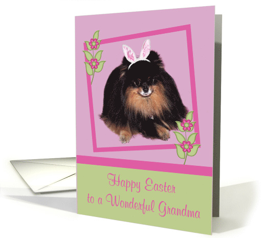 Easter to Grandma, Pomeranian with bunny ears, butterfly, flower card