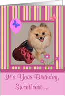 Birthday to Sweetheart, Pomeranian smiling wearing a pretty dress card